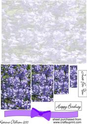 Bluebell Pyramid