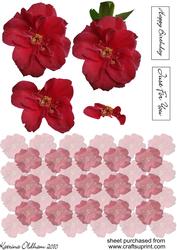 Red Flower Step by Step with Backing