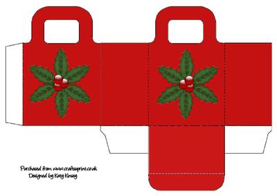 Christmas Holly Gift Bag