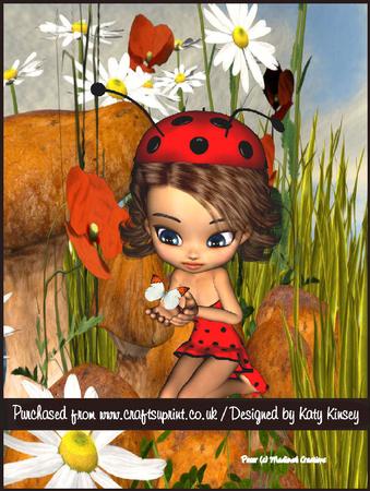 Dotty Ladybird A4 Tunnel Card Kit