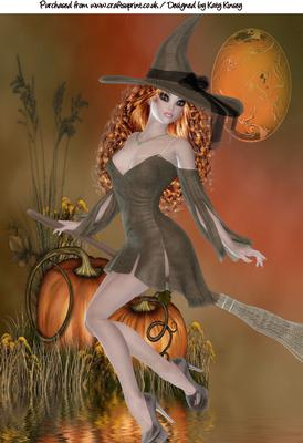 Moonlit Broomstick Flight A4 Card Topper