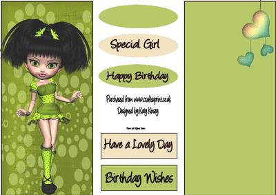 Judy Dl Topper and Insert