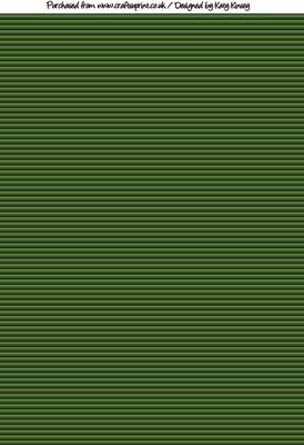 Venetian Blinds A4 Background Paper in Green
