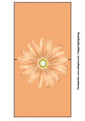 Peach Daisy Over the Edge Card