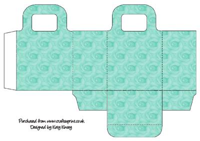 Aqua Roses Gift Bag