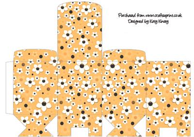 Daisy Daisy in Orange Tall Slim Gift Box