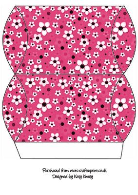 Daisy Daisy in Bright Pink Pillow Gift Box