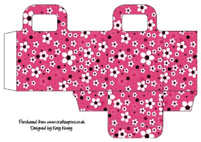Daisy Daisy in Bright Pink Gift Bag