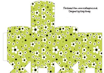 Daisy Daisy in Lime Green Tall Slim Gift Box
