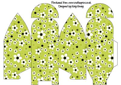 Daisy Daisy in Lime Green Truffle Style Gift Box