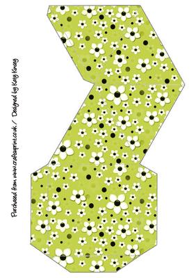 Daisy Daisy in Lime Green Pyramid Box