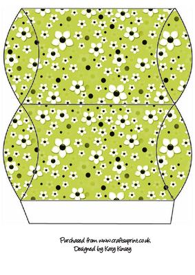 Daisy Daisy in Lime Green Pillow Gift Box