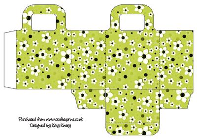 Daisy Daisy in Lime Green Gift Bag