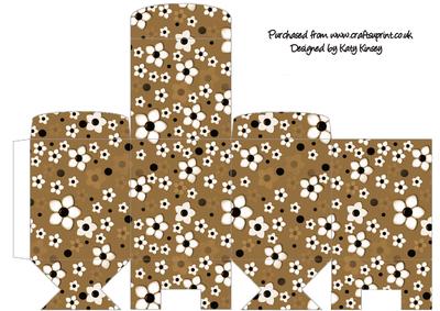 Daisy Daisy in Brown Tall Slim Gift Box