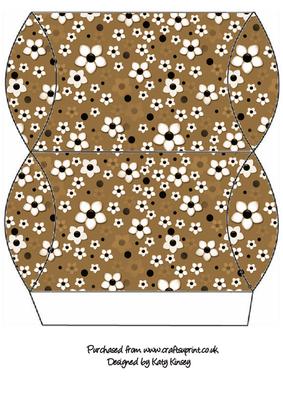 Daisy Daisy in Brown Pillow Gift Box