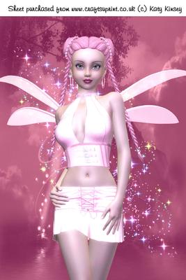 In the Pink Fairy A4 Card Front
