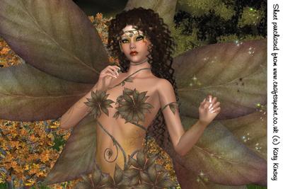 Woodland Fairy A4 Card Front