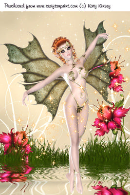Fairy Delight A4 Card Front