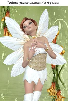 Fairy Blessings A4 Card Front