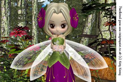 Fairy Concentration A4 Card Front