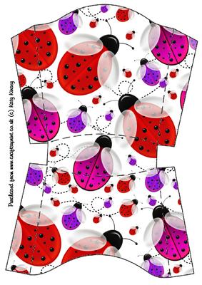 Lots of Ladybirds Open Top Box