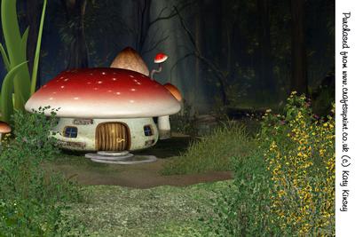 Toadstool Cottage Fairy Home A4 Card Front