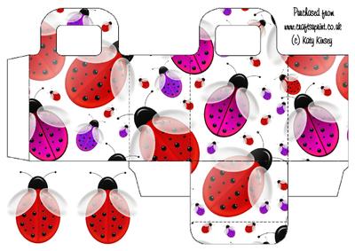 Lots of Ladybirds Gift Bag