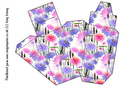 Waterlillies on White Cake Box