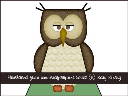 Cute Wise Owl 3D Stand Up Pyramid Card Kit