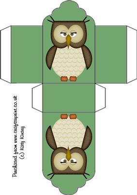 Cute Wise Owl Tag Gift Box