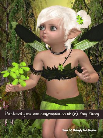 Niamh Fairy A4 Pyramage Card Kit