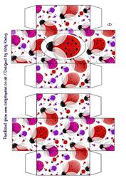 Lots of Ladybirds Gift Box with Lid