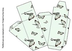 Butterfly Swarm Cake Slice Gift Box