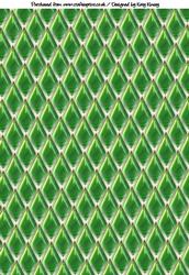 Emerald Green Teardrop Backing Paper