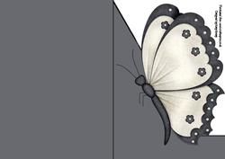 Black & White Butterfly A5 Shaped Front Print and Fold Card