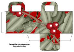 Christmas Holly Days Gift Bag