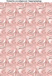 Soft Peach Roses Backing Paper