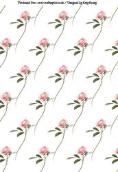 Pink Roses Backing Paper