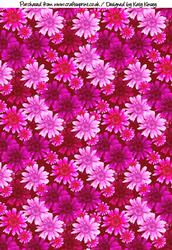 Pink Blooms Backing Paper