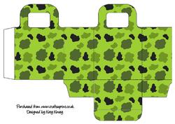Camouflage Gift Bag