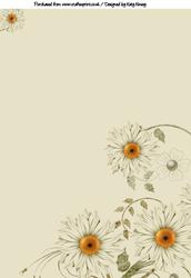 White Daisies Backing Paper