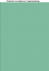 Green and White Gingham Backing Paper