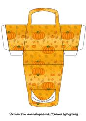 Autumn Pumpkins 3D Purse Handbag Shaped Gift Box