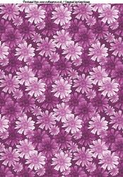 Blooms in Pink A4 Backing Paper