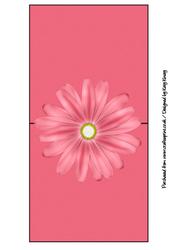 Pink Daisy Over the Edge Card