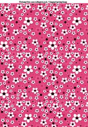 Daisy Daisy A4 Backing Paper in Bright Pink