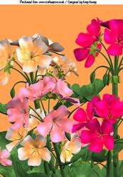 Bright Blooms A4 Backing Paper #1