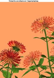 Bright Blooms A4 Backing Paper #7