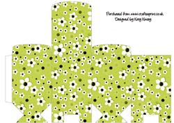 Daisy Daisy in Lime Green Tall Slim Gift Box