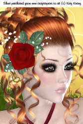 Rose Red A4 Card Front